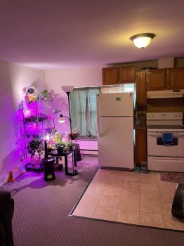 Apartment 10