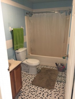 Apartment 6