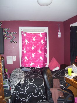 Apartment #1