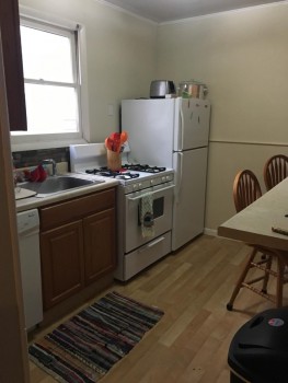 5 Myrtle Avenue apartment 22 stove and fridge kitchen