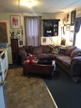 7 Otsego Street apartment living room