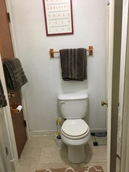7 Otsego Street apartment toilet
