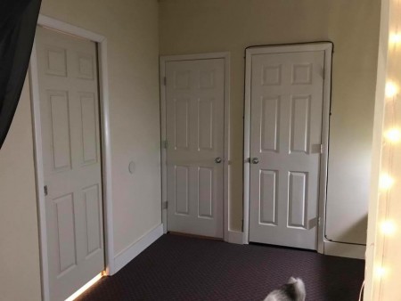 Apartment #3E, 244 Main Street Peter Clark student rentals