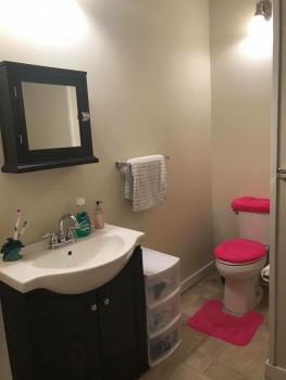 Apartment #3E, 244 Main Street Peter Clark student rentals