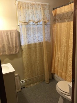 5 Myrtle Avenue apartment 22 bathroom
