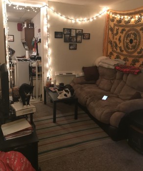 Apartment #3, 7 Otsego Street Peter Clark student rentals