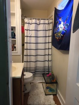 Apartment 1, 18 Academy street Peter Clark student rentals